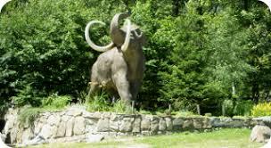 Muzeum Ziemi w Kletnie